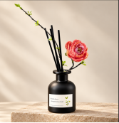 AX-08 黑瓶茶花
